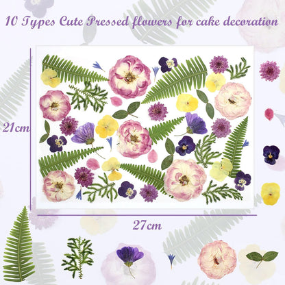 48 Pcs Mix Natural Dried Pressed Flowers for Cake Decorating, Real Dry Flower for Resin Jewelry Making, DIY Art Crafts - Lovely