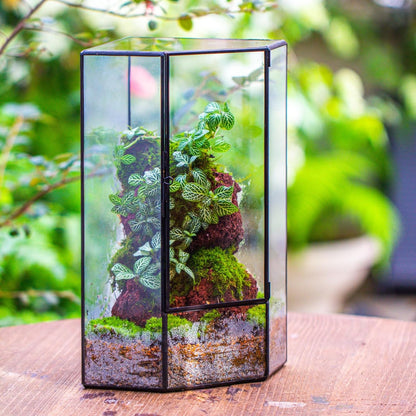 NCYP Wall Corner Geometric Glass Terrarium, Closed Front Opening Door Container Planter for Succulents, Small Plants - Black, Indoor Decor, Tabletop Landscape, 6.1" x 6.1" x 11.8" (Terrarium Only)