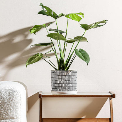 8 Inch Plant Pot: Ceramic Planter with Drainage Hole & Saucer - Cylinder Flowerpot for Indoor & Outdoor Plants - with Separate Tray for Home & Office - Striped Design