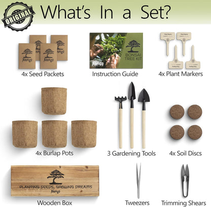 Bonsai Tree Kit – 4X Unique Japanese Bonzai Trees | Complete Indoor Starter Kit for Growing Bonsai Plants with Tools & Planters – Gardening Gifts for Women & Men