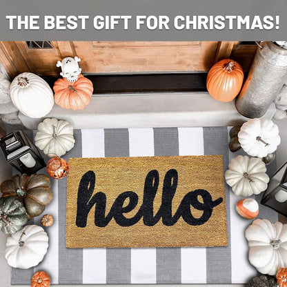 IOHOUZE Grey White Striped Rug -27.5" X 43" Front Door Mats Outdoor,Washable Rug for Front Porch Decor,Spring Summer Welcome Mats Outdoor Indoor, Doormat for Farmhouse/Entryway/Home Entrance