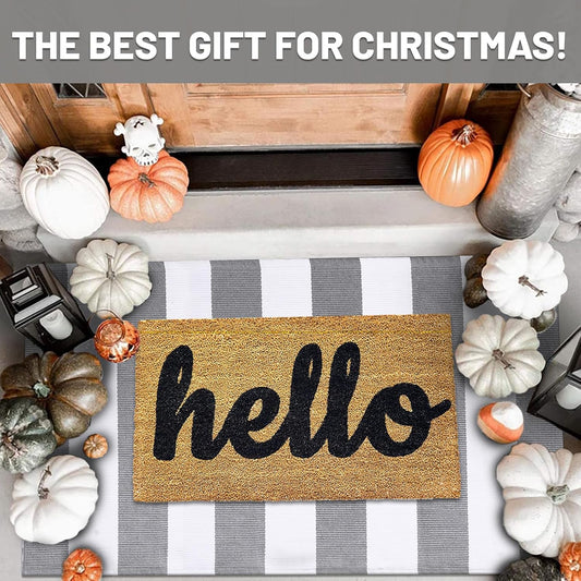 IOHOUZE Grey White Striped Rug -27.5" X 43" Front Door Mats Outdoor,Washable Rug for Front Porch Decor,Spring Summer Welcome Mats Outdoor Indoor, Doormat for Farmhouse/Entryway/Home Entrance