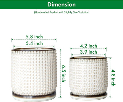 D'vine Dev 6 Inch 4 Inch Ceramic Indoor Planter Pots with Drainage Hole and Saucer, Beaded Design Flower Pots, Set of 2, Smoked White, 27-D-U-1