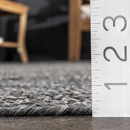 nuLOOM 2' x 3' Solid Hand Braided Indoor/Outdoor Area Rug, Pet-Friendly, High Traffic, Weather Resistant, for Patio, Balcony, Bedroom, Living Room, Dining Room, Wynn Charcoal