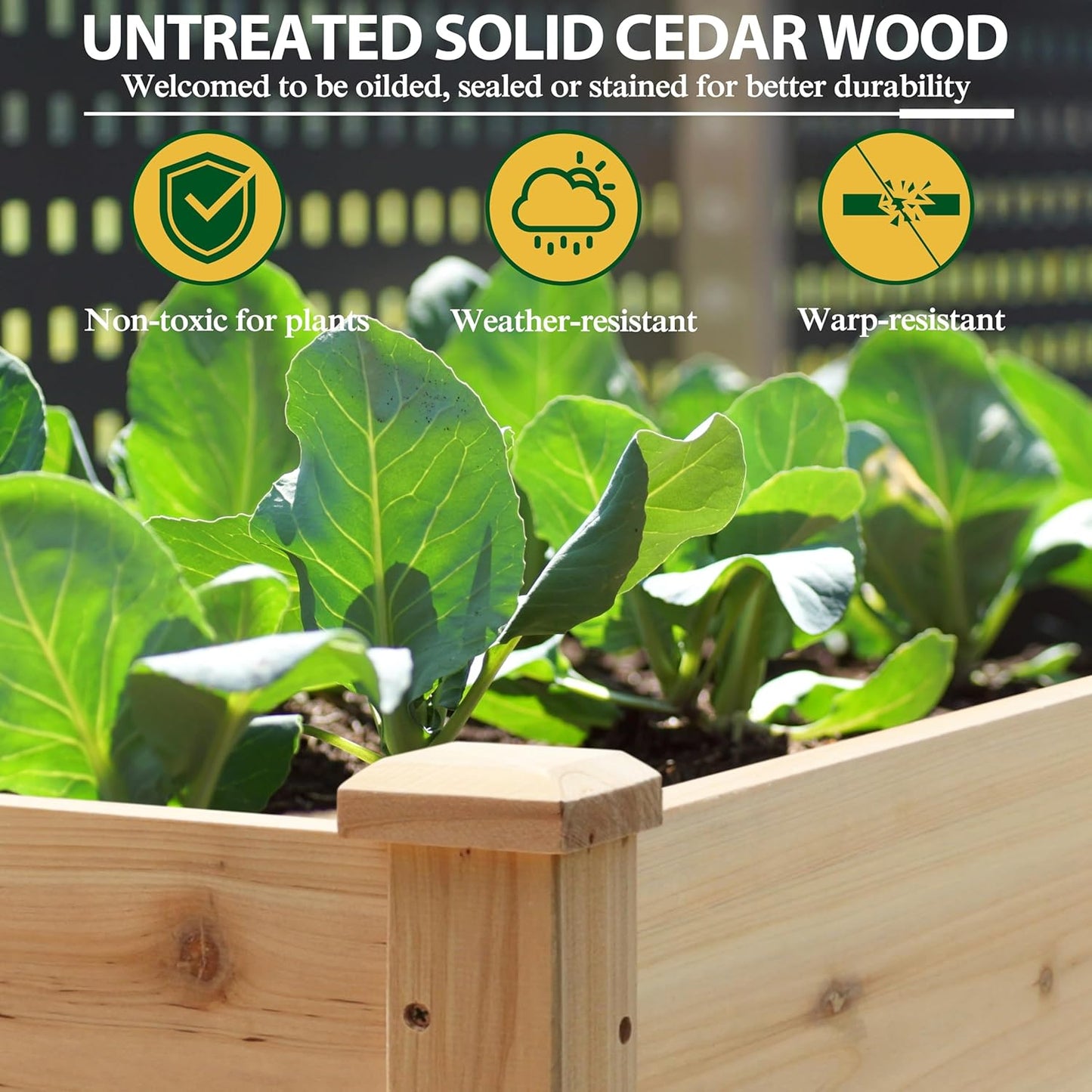 MUPATER 4x2FT Raised Garden Bed, Planter Box with Four Wheels and Legs for Herbs and Vegetables, Elevated Garden Bed with Drainage Holes for Outdoor Indoor, Natural Wood