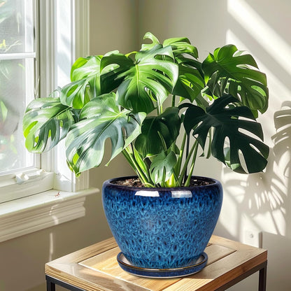 10 Inch Ceramic Planter Pot, Ceramic Plant Pot for Indoor Outdoor Plants, Large Flower Pot with Drainage Hole and Saucer, Blue