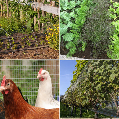 Bird Netting，25 x 25 FT Garden Netting Bird Net for Chicken Coop, Poultry Netting Fence for Fruit Trees, Plants and Vegetables Against Birds, Deer, Squirrels and Other Animals
