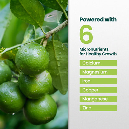32oz Citrus Tree Fertilizer for Lime Trees Live Plants - Makes 32 Gallons of Liquid Lime Tree Fertilizer - Ideal Citrus Plant Food, Promotes Healthy Trees and Zesty Fruits for All Limes