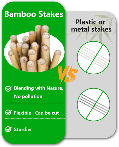 2ft Natural Bamboo Plant Stakes for Tomatoes, Beans, Flowers, Potted, Climbing Plants 25pcs