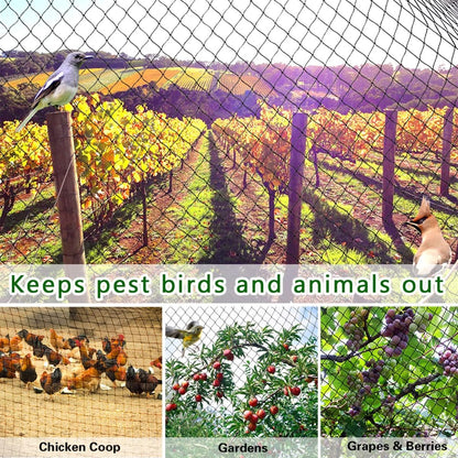 OGORI 50' x 50' Bird Netting Heavy Duty Nylon 3/4" Mesh Garden Netting Protect Fruit Trees, Plants and Vegetables