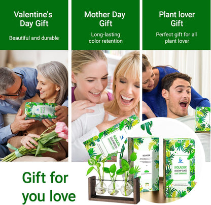 Ivolador Wall Hanging Plant Propagation Station,Bulb Plant Terrarium with Wooden Stand,Unique Gardening Gifts for Women Plant Lovers,Hydroponic Indoor Planter Home Office Decor-3 Bulb Glass Vases