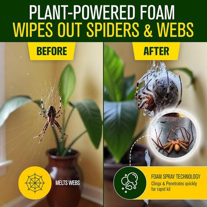 Green Guard Pest Control Spray - Indoor & Outdoor Killer of Ants, Roaches, Spiders & Other Crawling Insects, Safe Around Children & Pets, Plant-Based, Pleasant Scent (Lemongrass Blast, 32 oz)