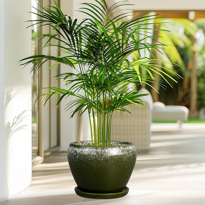 8 Inch Plant Pot - Ceramic Planter with Drainage Hole and Saucer, Modern Flower Pot for Glazed Indoor Plants Outdoor, Dark Green