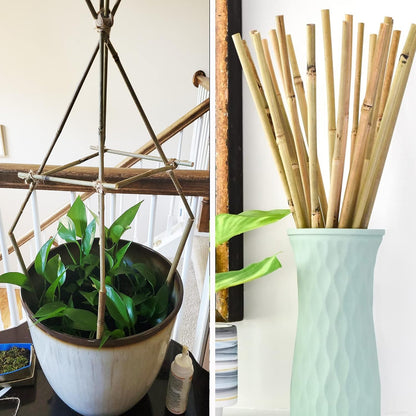 50Pcs Garden Stakes, 0.32”/ 2Feet Bamboo Sticks，Natural Plant Stakes for Indoor and Outdoor Plants，Poles for Tomatoes, Beans, Potted Plants…