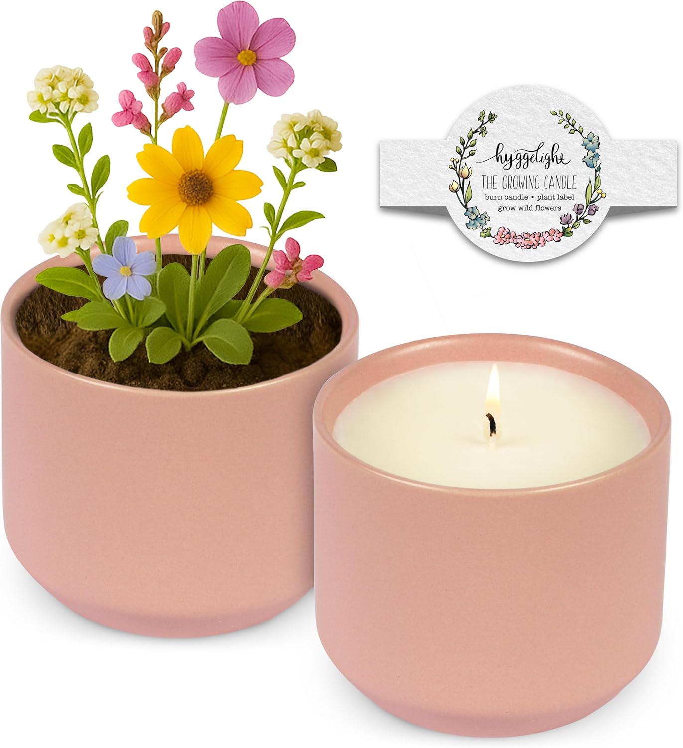 The Growing Candle, Coffee Scented, 8oz Ceramic Pot, Aromatherapy Candles, 100% Soy, Cream and Espresso Aroma for Home, Adelyn