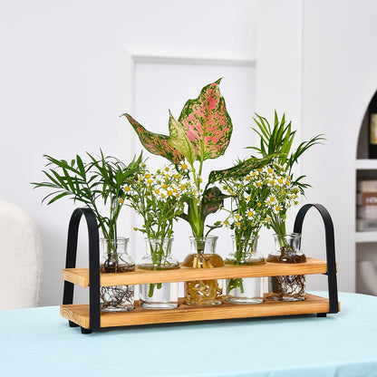 Plant Propagation Stations with Wood Stand, Desktop Plant Terrarium for Propagating Hydroponic, Flower Vase for Home Kitchen Office Decor, Plant Lover Gifts