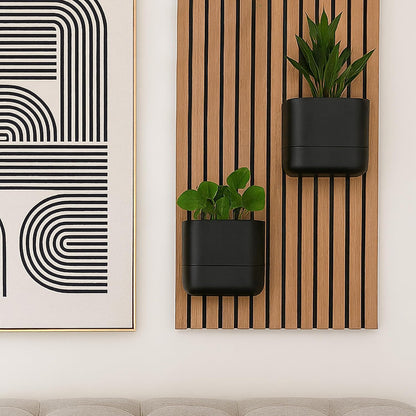 Phoenix Vine 6.5-Inch Wall Mounted Self-Watering Planter Pot for Indoor Houseplants and Herbs | Modern Hanging Planter for Window Sills, Bathroom Walls, Home & Office Décor, Black, Set of 2, 01-WP-B-2