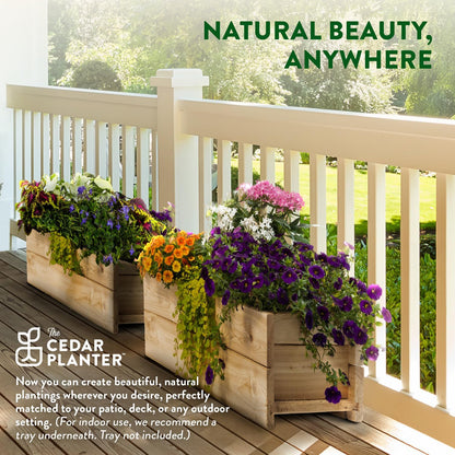 Greenes Fence Cedar Wood Planter Box with Rail Mount Brackets, 32" x 11" x 7" - Made in USA with North American Cedar
