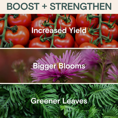 Organic Plant Food – Liquid Fertilizer for Indoor & Outdoor Plants, Nutrient-Rich Formula for Growth & Protection, Houseplant & Garden Fertilizer, Liquid Concentrate for Healthy Foliage & Strong Roots