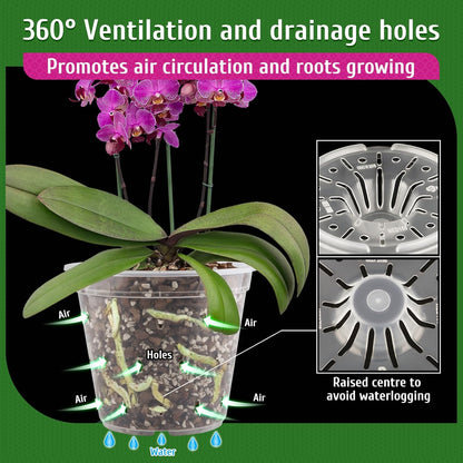 REMIAWY Orchid Pot, 6 Pack Orchid Pots with Holes, 5.5 Inch Clear Plastic Flower Planters for Repotting Indoor Outdoor, Breathable Slotted Nursery Planter