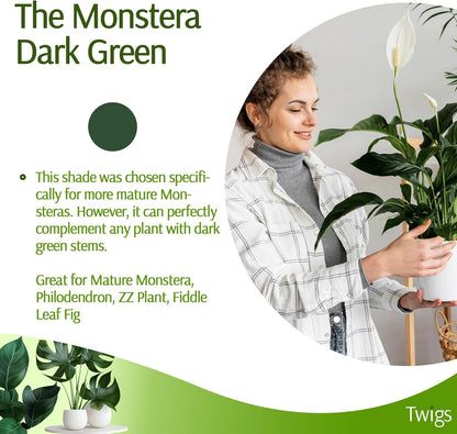 Plant Support Stakes, Stem Holder Structures for Indoor & Outdoor Use, Garden Accessories for Climbing & Potted Plants, Trellis Alternative - Monstera (Dark Green), 10 Pack, 22" L, Original