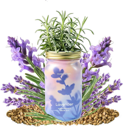 Modern Sprout Mason Garden Jar - Self-Watering Hydroponics Growing System Kit with Organic Herb Seeds - Jar Planter for Indoor Herb Garden - Seed Starter Kit - Home Decor & Gifting - Lavender+Rosemary