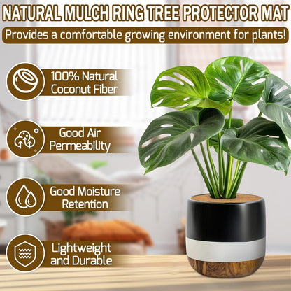 ZeeDix 12 Pack 12 Inch Coconut Fiber Mulch Ring, 100% Natural Coco Coir Tree Ring Mulch Mat Plant Protector Mat, Coconut Coir Discs Plant Pot Soil Cover for Indoor Outdoor Plants, Garden Decoration
