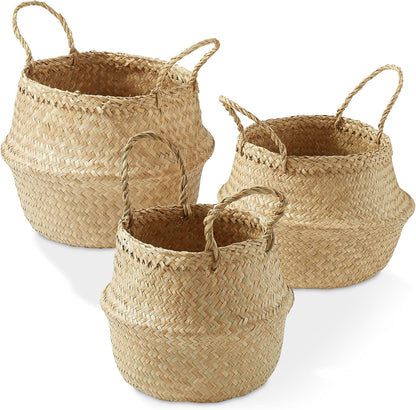 Casafield (Set of 3) Seagrass Belly Storage Basket Planters - Small, Medium, Large, Natural Woven Wicker Indoor Plant Pot Covers for Plants and Trees