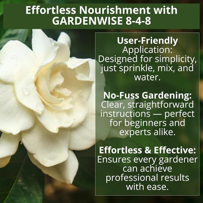 8-4-8 Acidic Fertilizer for Azaleas, Camellias (Camelia), Hydrangeas, Blueberries, Gardenias, Magnolia Trees, Evergreens, and Rhododendrons - Ideal Iron-Rich Plant Food (1 Quart)