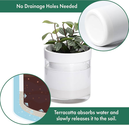 Phoenix Vine 4 Inch Self Watering Planter, White Terracotta Clay Pot with Glass Reservoir for Indoor Plants, Herbs, Flowers, Set of 3, 52-B-E-3