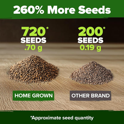 HOME GROWN Culantro Seeds - 720+ 𝗡𝗢𝗡-𝗚𝗠𝗢, 𝗨𝗦𝗔-𝗦𝗢𝗨𝗥𝗖𝗘𝗗 Heirloom Herb Seeds for Planting, Slow-Bolting, Flavorful Cilantro Alternative, Great for Outdoor Herb Gardens (Eryngium foetidum)