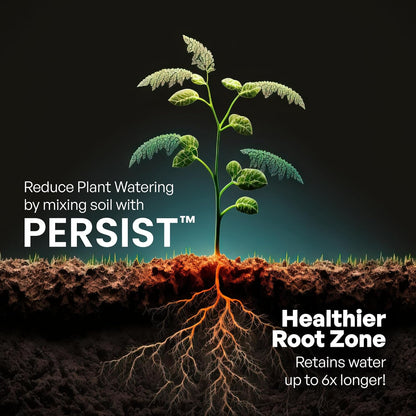 Persist Horticultural Charcoal 3qt Bag, Biochar Soil Amendment for Indoor Plants, Improves Soil for Terrariums, 100% Natural Active Carbon and House Plant Enhancer.