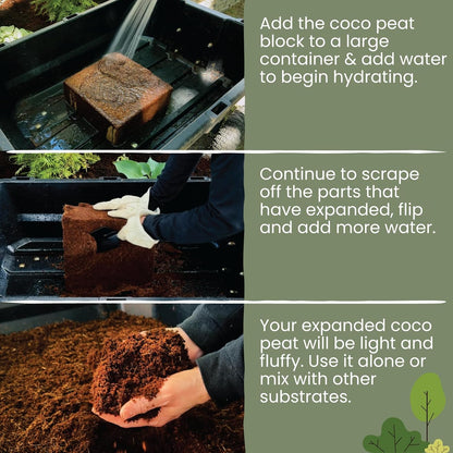 MagJo Naturals 100% Pure Coco Coir 4 Pack (44 Pounds Total) Coco Peat, Listed for Organic Gardening, Coconut Coir - Low EC and pH Balance - High Expansion Coco Fiber for Herbs, Flowers, Planting