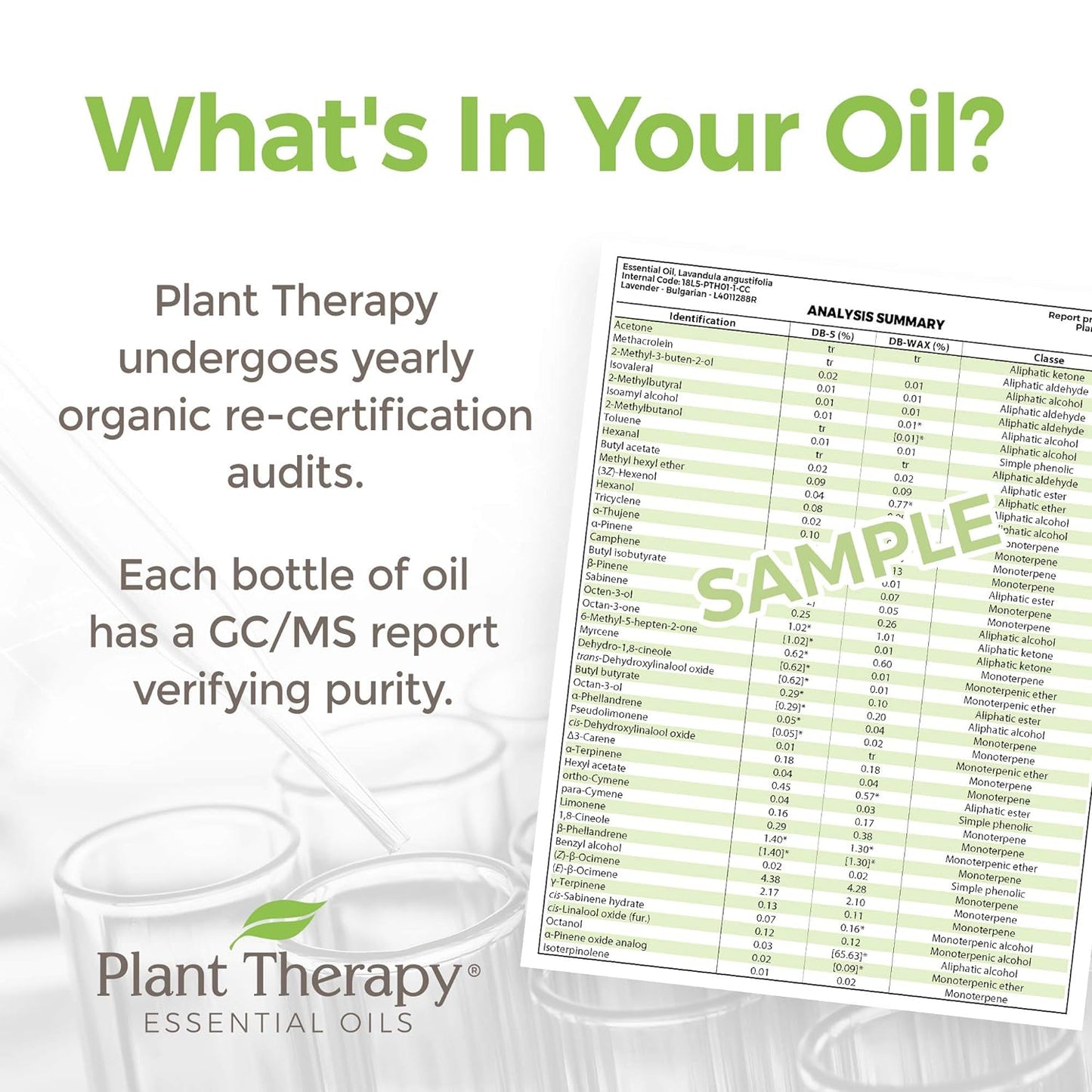 Plant Therapy USDA Certified Organic Basil Linalool Essential Oil 10 mL (1/3 oz) 100% Pure, Therapeutic Grade