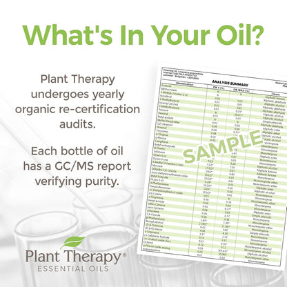 Plant Therapy KidSafe Organic Destroyer Essential Oil Blend 10 mL (1/3 oz) 100% Pure, Undiluted, Therapeutic Grade