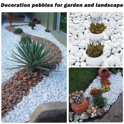 17.6 Lbs Natural River Rocks for Plants 1''-2'' Large Landscaping Garden Stones White Aquarium Gravel Decorative Pebbles for Indoor Outdoor Planters, Big Terrarium Rocks in Bulk, Home Decor