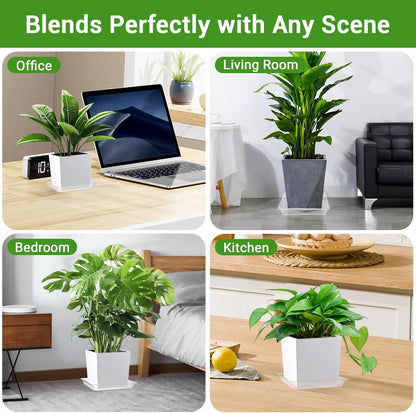 GREANER 14 Inch of Plastic Plant Saucer, 6 PCS Durable Plant Trays for Indoors, Square Plant Water Dray Tray, Plant Water Catcher Drip Dishes, Clear Drip Trays for Indoors & Outdoor Plants