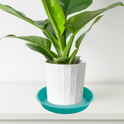 2 Pack of 14 inch Plant Saucers Bird Bath Bow Round, Plastic Plant Saucer Tray for Pots, White Planters for Indoor Plants, Plant Trays for Planter 12-15" (14", Teal)