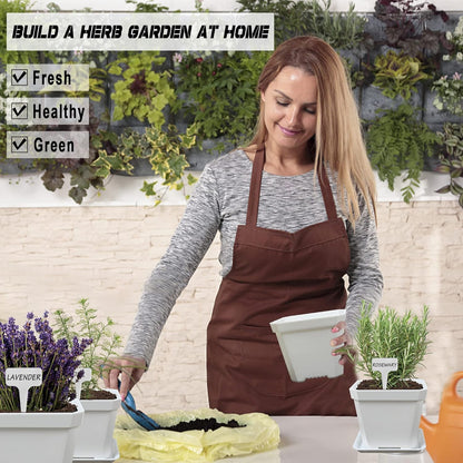10 Herb Seeds Garden Starter Grow Kit with White Pots, Markers, Nutritional Soil, Watering, Herb Clipper, Complete Indoor Potted Plant Growing Set for Kitchen DIY