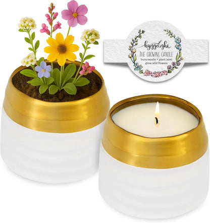 The Growing Candle, Lavender Scented, 10oz Ceramic Pot, Single Wick Aromatherapy Candles, 100% Soy for Women and Men, Clara