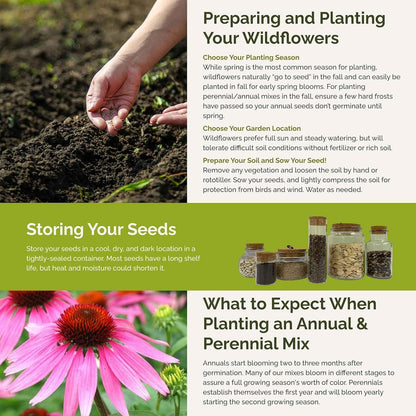 Eden Brothers Heirloom Flower Mixed Seeds for Planting, 5 lb, 2,400,000+ Seeds with Zinnia, Toadflax, Evening Primrose | Attracts Pollinators, Plant in Spring or Fall, Zones 3, 4, 5, 6, 7, 8, 9, 10