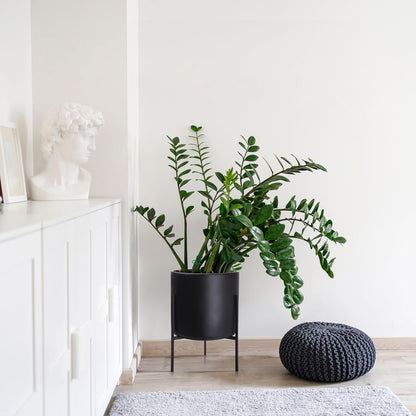 D'vine Dev Modern Black Plants Pot Cylinder Planter with Heavy Duty Stand, X-Large 14 Inch Pot, 19.6 Inch with Stand Height, 96-T-B-4