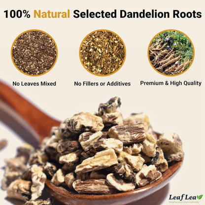 LeafLea Dandelion Root Tea Bags, 240 Count, Natural Dandelion Root Herbal Tea Blend, Supports Digestive and Immune Health, Caffeine-Free, Sugar-Free, Vegan, Gluten-Free, Pack of 6