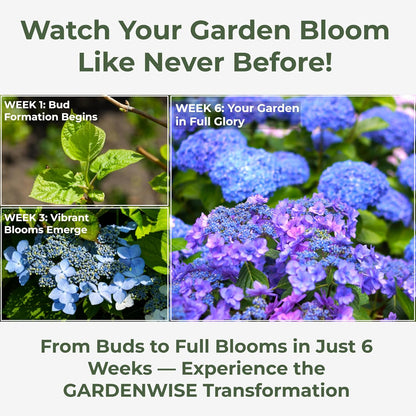 Slow Release Hydrangea Fertilizer with Iron & Sulfur – Indoor & Outdoor Soil Acidifier for Miracle Growth (3 qt)