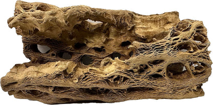 Natural Cholla Wood Chunk Large Air Plant Display Holders Individually Unique Decorative Stands or Holder (Cholla Chunk Large)