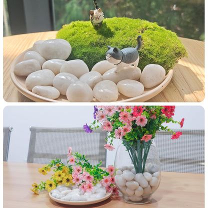 45lbs White River Rocks, 1-2 Inch Natural Pebbles for Indoor Plants, Polished Pebbles for Garden Landscaping Aquariums Vase Fillers and Outdoor Decorative Stones