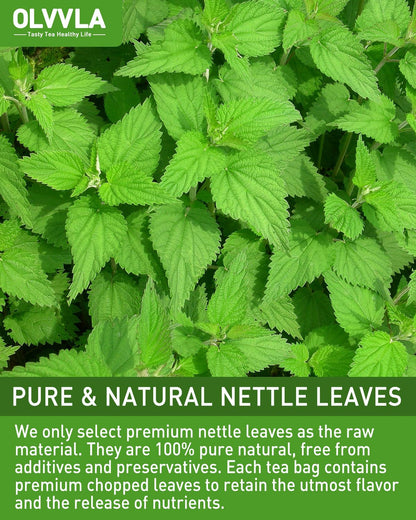 Olvvla - Premium Nettle Leaf Tea - 1.5g X 60 Count - 100% Pure Natural Stinging Nettle Tea Bag - Caffeine-free - Non-GMO - Rich in Antioxidants & Support Bone Health