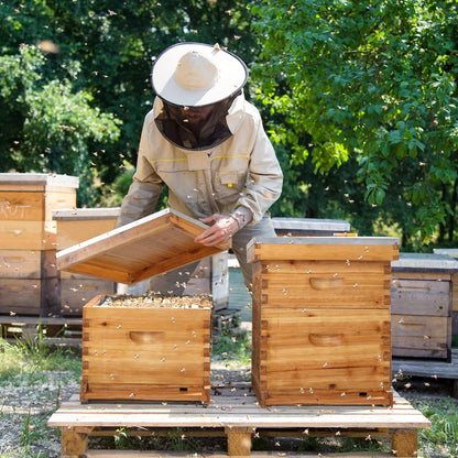 VINGLI 10 Frames Beehive, Complete Beehive Kit Includes 1 Deep Boxes, 1 Medium Box, Frames and Waxed Foundations, for Yard, Field, Bee Farm (2 Layer)