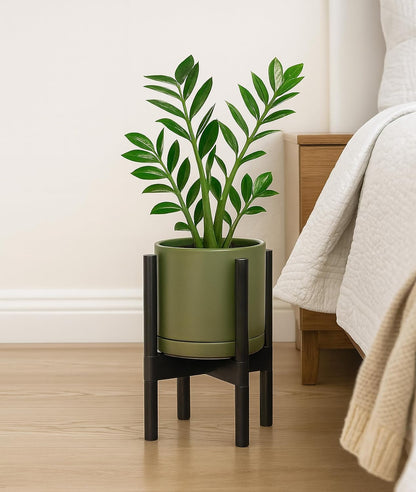 D'vine Dev Ceramic Planter with Ebony Stand - 8 Inch Modern Round Flower Pot with Wood Planter Holder, Olive, 55-B-M-J