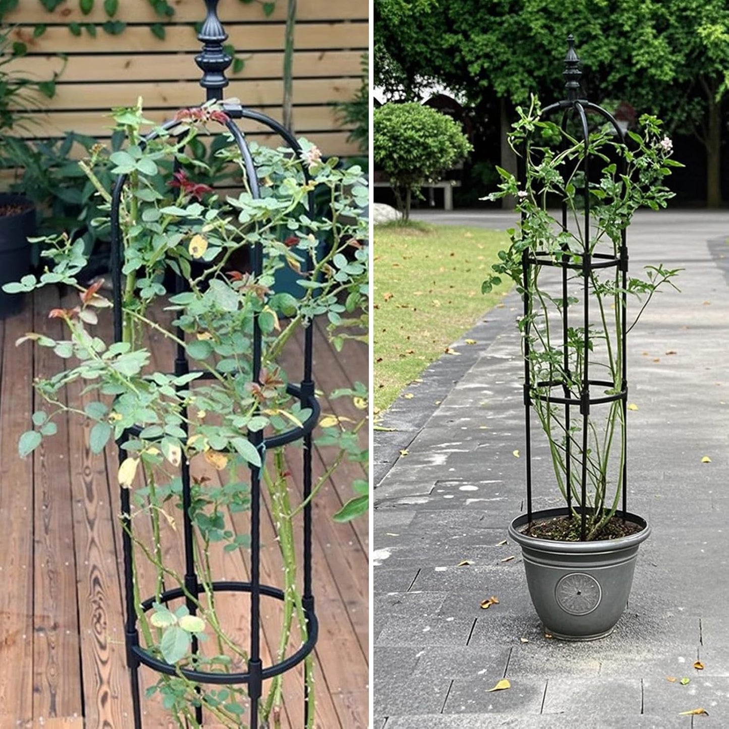 Trellis For Climbing Plants Outdoor 1Pcs 6Ft Garden Obelisk, Metal Pipe Tomato Cage Cucumber Rose Flower Vegetable Grape Round Vine Tall Plants Trellis,Plants Support Stakes Potted Garden Tower Indoor